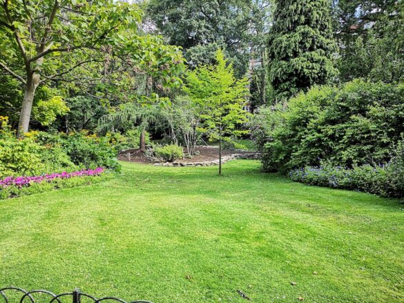 The-Benefits-of-Planting-Native-Species-in-Your-Garden